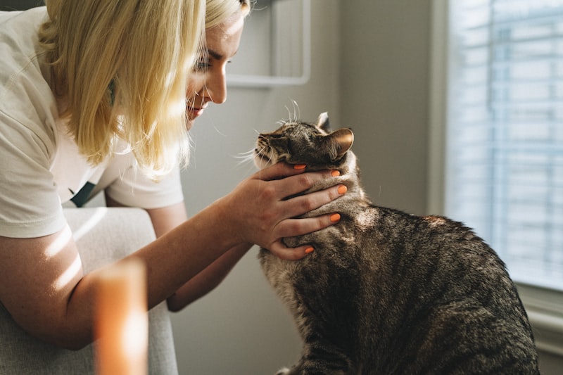 Licensed veterinarian examining a dog